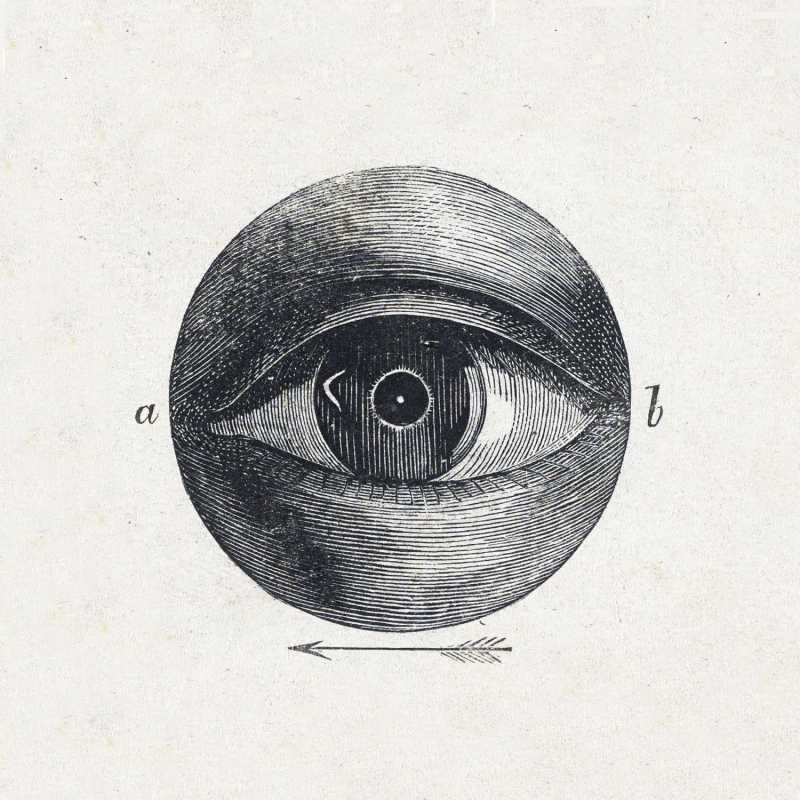 Além do obstáculo